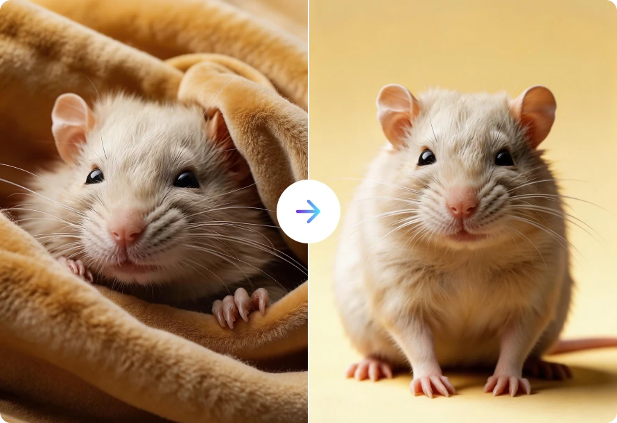 animal portrait pictures