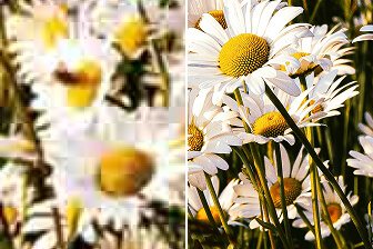 avclabs online free image enhancer