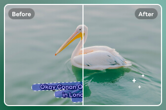 avclabs online image text remover free