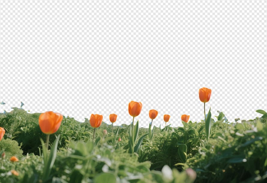 avclabs transparent image maker