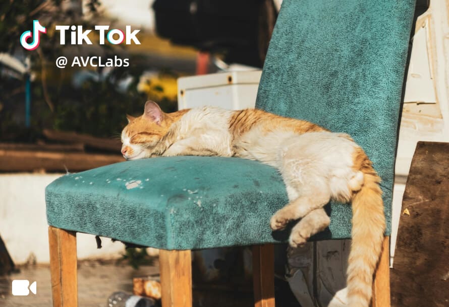remove watermark from video before