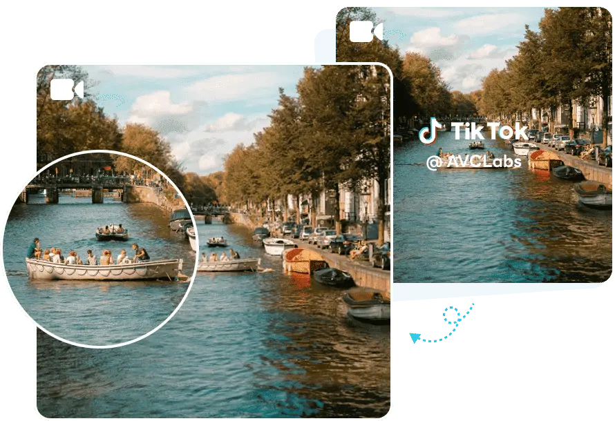 avclabs tiktok watermark remover