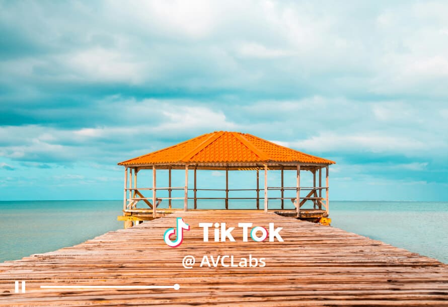 remove tiktok watermark from video before