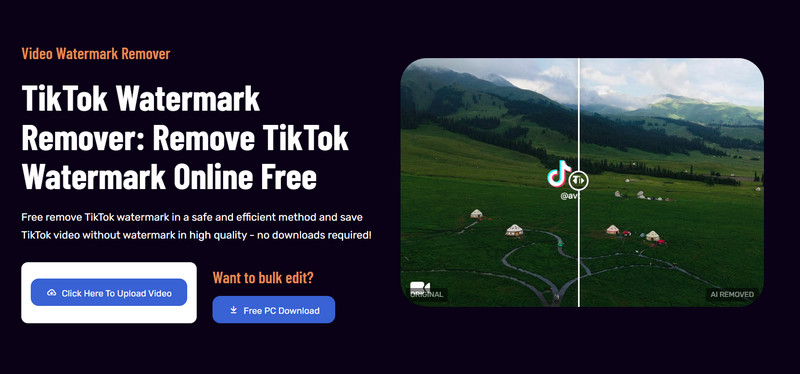 avclabs remove tiktok watermark online