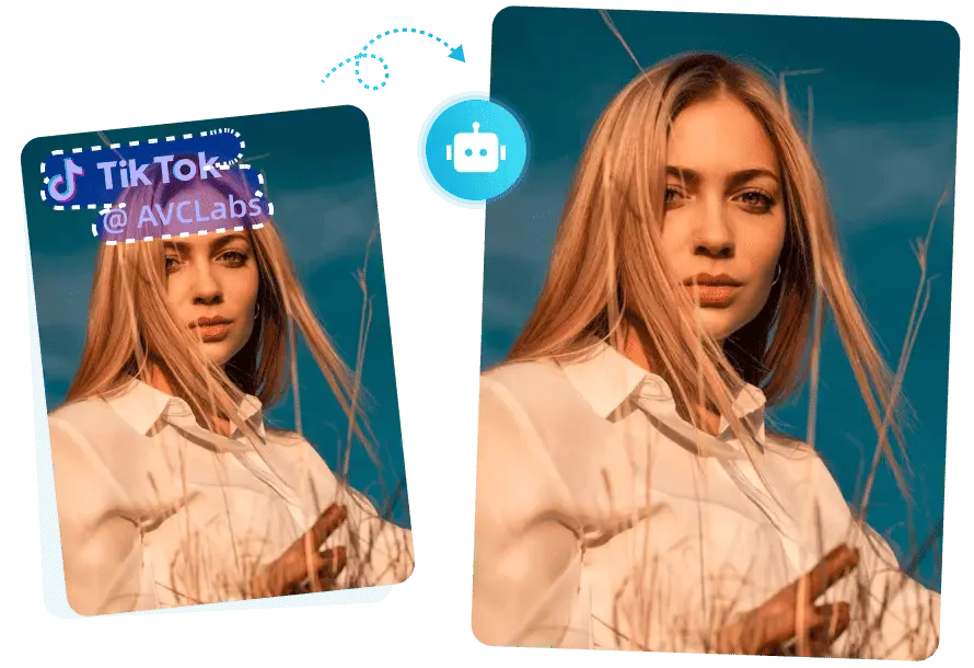 avclabs tiktok watermark remover