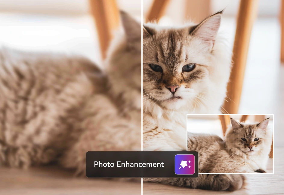 avclabs photopro ai photo enhancer