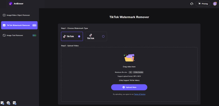 anieraser remove tiktok watermark online