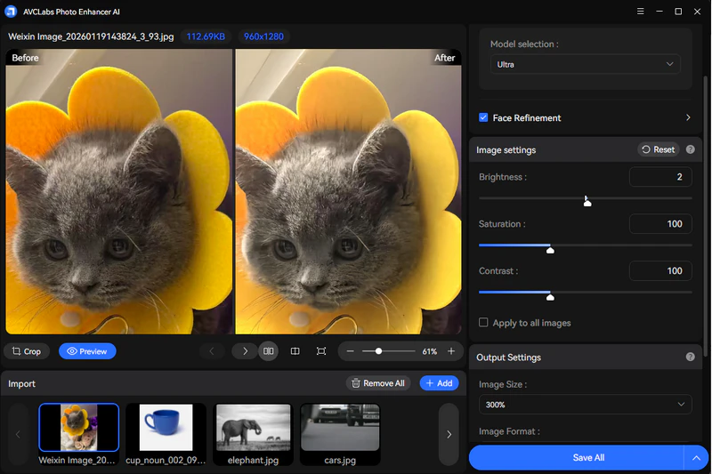 avclabs photo enhancer ai ultra model