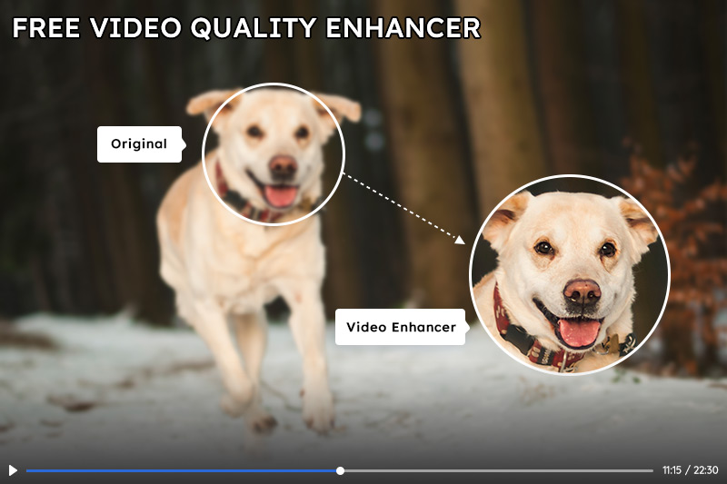 free video quality enhancer