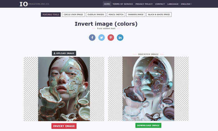 image online colors invert