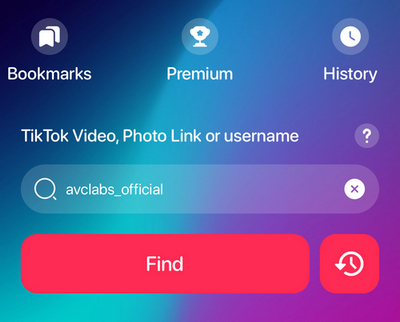 savetik tiktok watermark remover