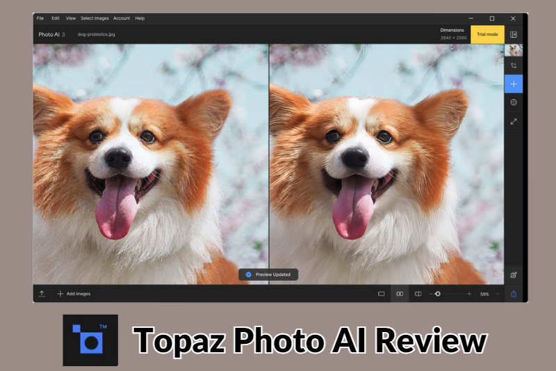 topaz photo ai review