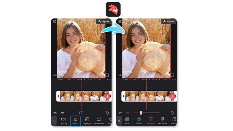 videoleap improve video quality