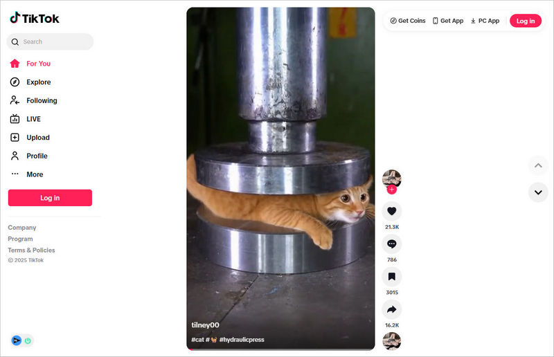 watch tiktok online without app