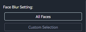 face blur setting