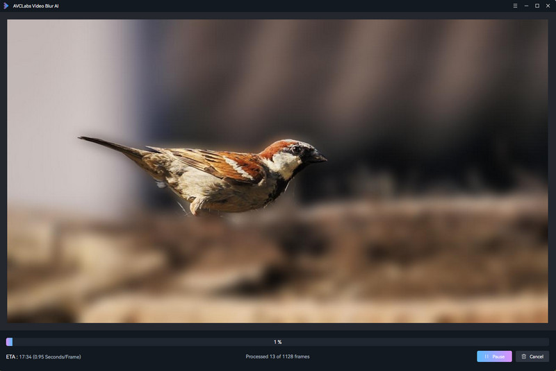 preview video background blurring